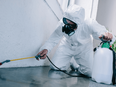 About Mice Removal Springpark - mice removal experts in Springpark